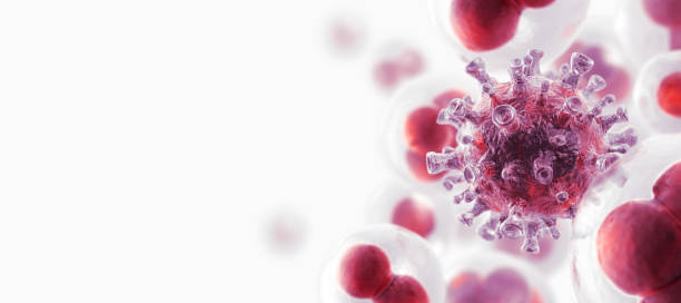 best blood cancer treatment in vashi navi mumbai